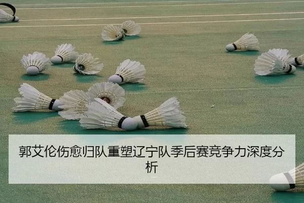 郭艾伦伤愈归队重塑辽宁队季后赛竞争力深度分析